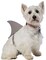 The Costume Center Gray Shark Dorsal Fin Halloween Pet Costume - 2XL